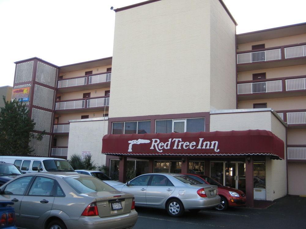 Oasis Hotel North Myrtle Beach Bagian luar foto