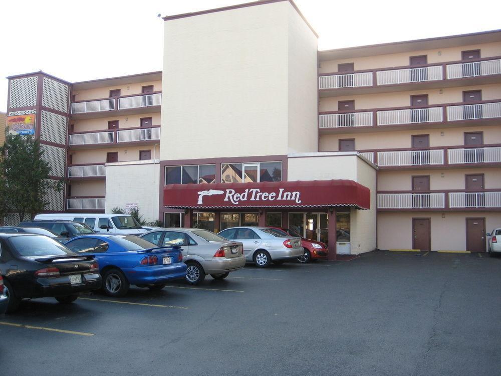 Oasis Hotel North Myrtle Beach Bagian luar foto